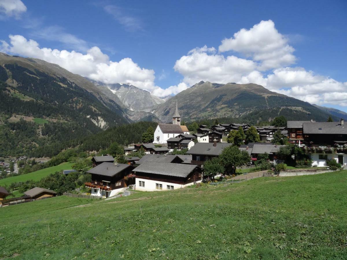 Aragon T101 Appartement Ernen Buitenkant foto